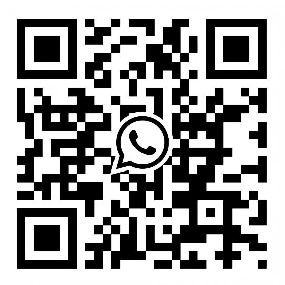 LEXS WhatsApp